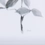 14207 - Leaf Shadow II by Mercana Studio a Hand Embellished Textured Framed Art Print Matted under Glass