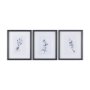 14207 - Leaf Shadow II by Mercana Studio a Hand Embellished Textured Framed Art Print Matted under Glass