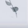 14208 - Leaf Shadow III by Mercana Studio a Hand Embellished Textured Framed Art Print Matted under Glass