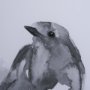 14209 - Robin BW I by Mercana Studio a Hand Embellished Textured Framed Art Print Matted under Glass