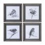 14209 - Robin BW I by Mercana Studio a Hand Embellished Textured Framed Art Print Matted under Glass