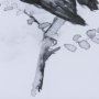 14210 - Rifleman BW II by Mercana Studio a Hand Embellished Textured Framed Art Print Matted under Glass