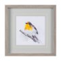 14215 - Robin I by Mercana Studio a Hand Embellished Textured Framed Art Print Matted under Glass