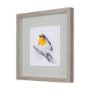 14215 - Robin I by Mercana Studio a Hand Embellished Textured Framed Art Print Matted under Glass