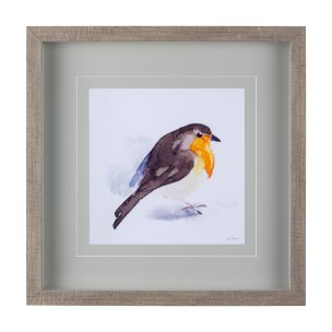 Robin II by Mercana Studio a Hand Embellished Textured Framed Art Print Matted under Glass