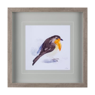 14216 - Robin II by Mercana Studio a Hand Embellished Textured Framed Art Print Matted under Glass