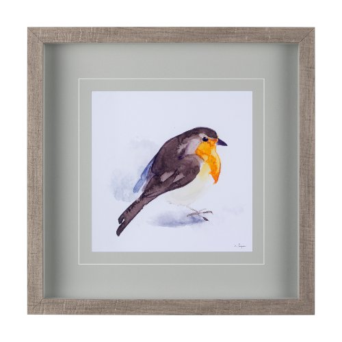 14216 - Robin II by Mercana Studio a Hand Embellished Textured Framed Art Print Matted under Glass