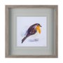 14216 - Robin II by Mercana Studio a Hand Embellished Textured Framed Art Print Matted under Glass