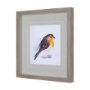 14216 - Robin II by Mercana Studio a Hand Embellished Textured Framed Art Print Matted under Glass