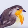 14216 - Robin II by Mercana Studio a Hand Embellished Textured Framed Art Print Matted under Glass