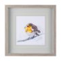 14217 - Robin III by Mercana Studio a Hand Embellished Textured Framed Art Print Matted under Glass