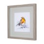 14218 - Robin IV by Mercana Studio a Hand Embellished Textured Framed Art Print Matted under Glass