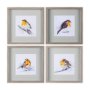 14218 - Robin IV by Mercana Studio a Hand Embellished Textured Framed Art Print Matted under Glass
