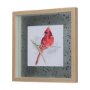 14234 - Cardinal I by Mercana Studio a Hand Embellished Textured Framed Art Print Matted under Glass