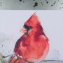 14234 - Cardinal I by Mercana Studio a Hand Embellished Textured Framed Art Print Matted under Glass
