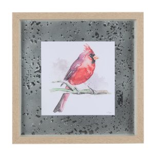 Cardinal II by Mercana Studio a Hand Embellished Textured Framed Art Print Matted under Glass