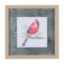 14235 - Cardinal II by Mercana Studio a Hand Embellished Textured Framed Art Print Matted under Glass