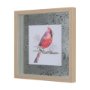14235 - Cardinal II by Mercana Studio a Hand Embellished Textured Framed Art Print Matted under Glass