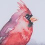 14235 - Cardinal II by Mercana Studio a Hand Embellished Textured Framed Art Print Matted under Glass