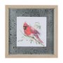 14236 - Cardinal III by Mercana Studio a Hand Embellished Textured Framed Art Print Matted under Glass