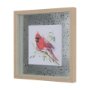 14236 - Cardinal III by Mercana Studio a Hand Embellished Textured Framed Art Print Matted under Glass