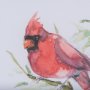 14236 - Cardinal III by Mercana Studio a Hand Embellished Textured Framed Art Print Matted under Glass