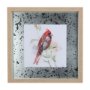 14237 - Cardinal IV by Mercana Studio a Hand Embellished Textured Framed Art Print Matted under Glass