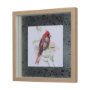 14237 - Cardinal IV by Mercana Studio a Hand Embellished Textured Framed Art Print Matted under Glass