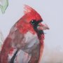 14237 - Cardinal IV by Mercana Studio a Hand Embellished Textured Framed Art Print Matted under Glass