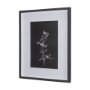 14262 - Night Leaves II by Mercana Studio a Hand Embellished Textured Framed Art Print Matted under Glass
