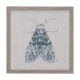 14308 - Moth Blue I by Mercana Studio a Hand Embellished Textured Framed Art Print