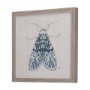14308 - Moth Blue I by Mercana Studio a Hand Embellished Textured Framed Art Print