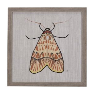 Moth I by Mercana Studio a Hand Embellished Textured Framed Art Print