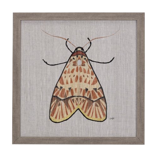 14311 - Moth I by Mercana Studio a Hand Embellished Textured Framed Art Print