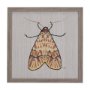 14311 - Moth I by Mercana Studio a Hand Embellished Textured Framed Art Print