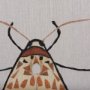 14311 - Moth I by Mercana Studio a Hand Embellished Textured Framed Art Print