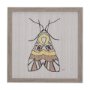 14312 - Moth II by Mercana Studio a Hand Embellished Textured Framed Art Print