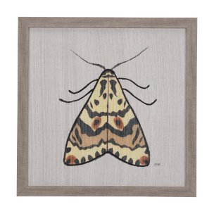 Moth III by Mercana Studio a Hand Embellished Textured Framed Art Print