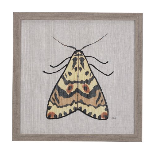 14313 - Moth III by Mercana Studio a Hand Embellished Textured Framed Art Print