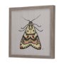 14313 - Moth III by Mercana Studio a Hand Embellished Textured Framed Art Print