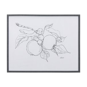 Fruit Sketch Apple by Mercana Studio a Hand Embellished Textured Framed Art Print
