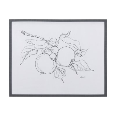 14338 - Fruit Sketch Apple by Mercana Studio a Hand Embellished Textured Framed Art Print