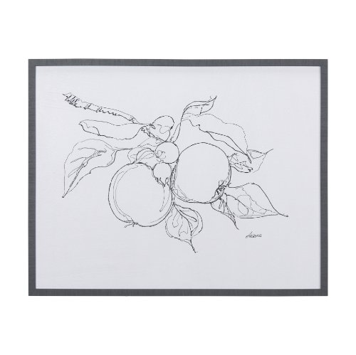 14338 - Fruit Sketch Apple by Mercana Studio a Hand Embellished Textured Framed Art Print