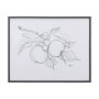 14338 - Fruit Sketch Apple by Mercana Studio a Hand Embellished Textured Framed Art Print