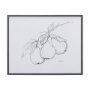 14339 - Fruit Sketch Pear by Mercana Studio a Hand Embellished Textured Framed Art Print