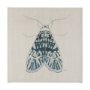 102214-L - Moth Blue I by Mercana Studio a Hand Embellished Textured Canvas
