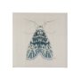 102214-S - Moth Blue I by Mercana Studio a Hand Embellished Textured Canvas