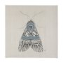 102215-L - Moth Blue II by Mercana Studio a Hand Embellished Textured Canvas