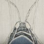 102215-L - Moth Blue II by Mercana Studio a Hand Embellished Textured Canvas