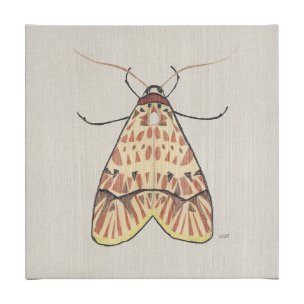 Moth I by Mercana Studio a Hand Embellished Textured Canvas